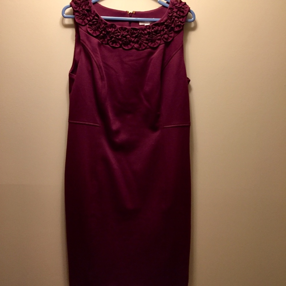 Acai Berry Women’s Dress 12 Charter Club NWT